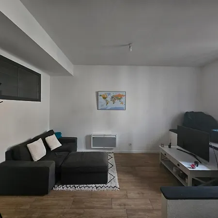Appartement Dans Une Ancienne Usine Chazelles-sur-Lyon Buitenkant foto