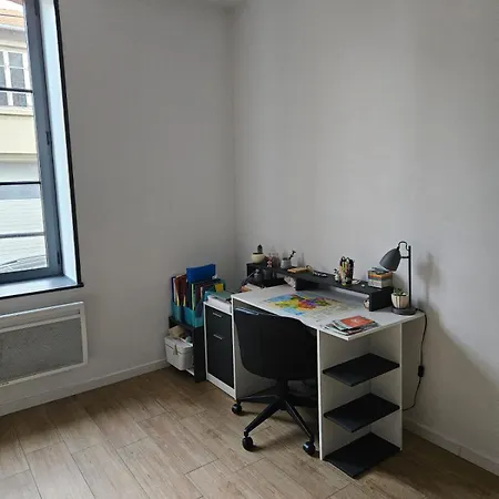Appartement Dans Une Ancienne Usine Chazelles-sur-Lyon Buitenkant foto