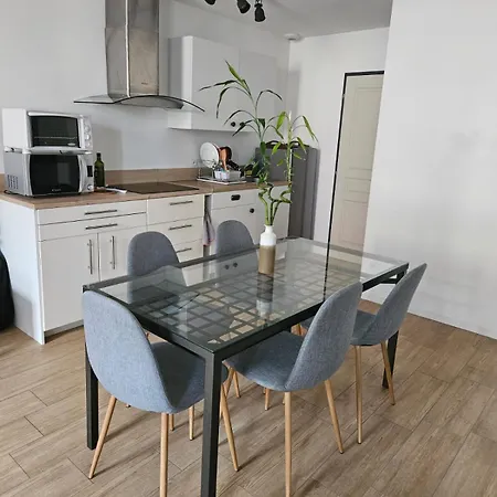 Appartement Dans Une Ancienne Usine Chazelles-sur-Lyon Buitenkant foto